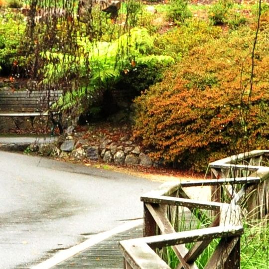 Dandenong Ranges
