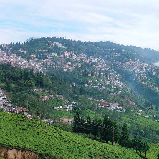 Darjeeling