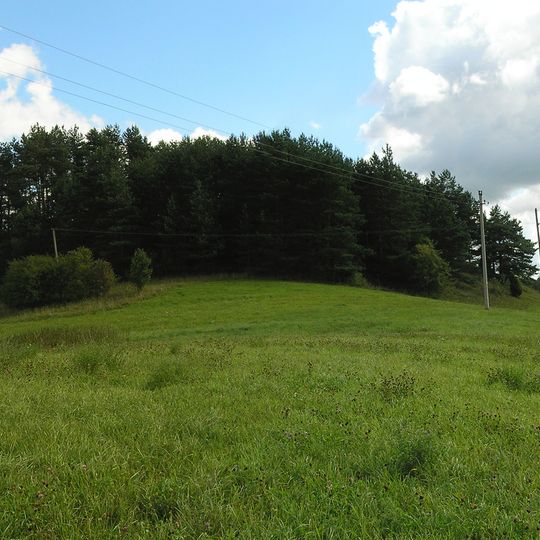 Zabičiūnai hillfort