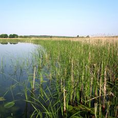Kholopychivskyi zakaznyk