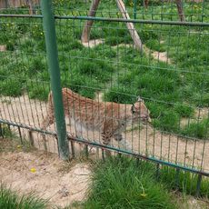 Mini Zoo w Wojciechowie