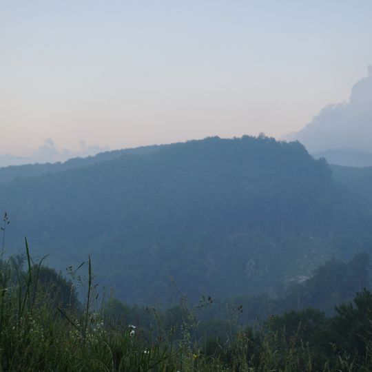 Pădurea Drăghiceanu