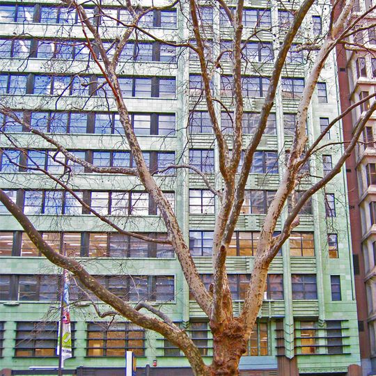 Transport House, Sydney