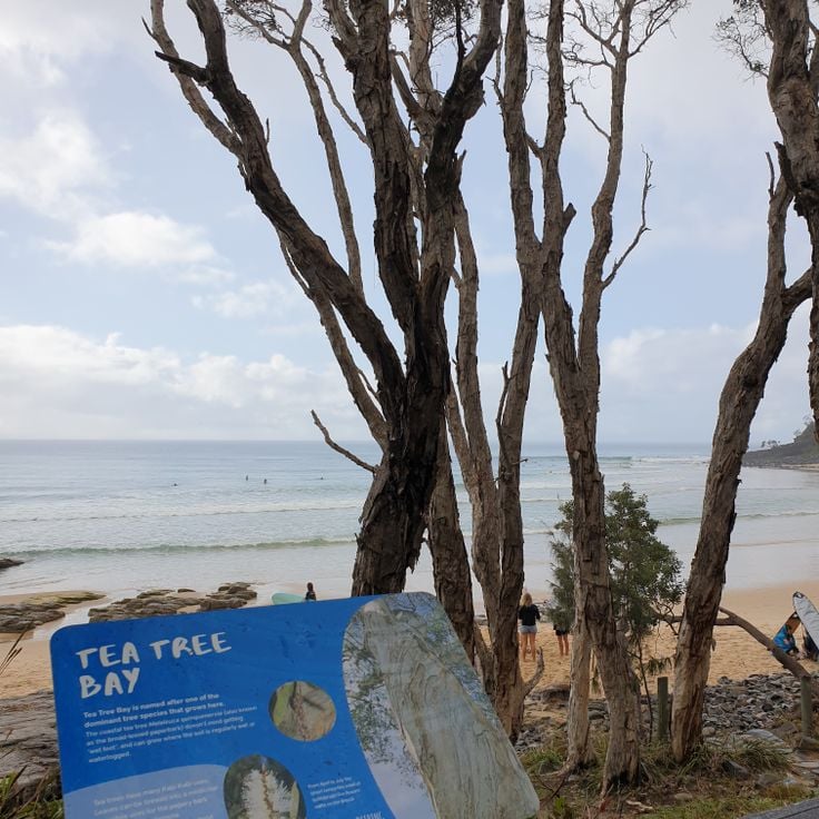 Tea Tree Bay