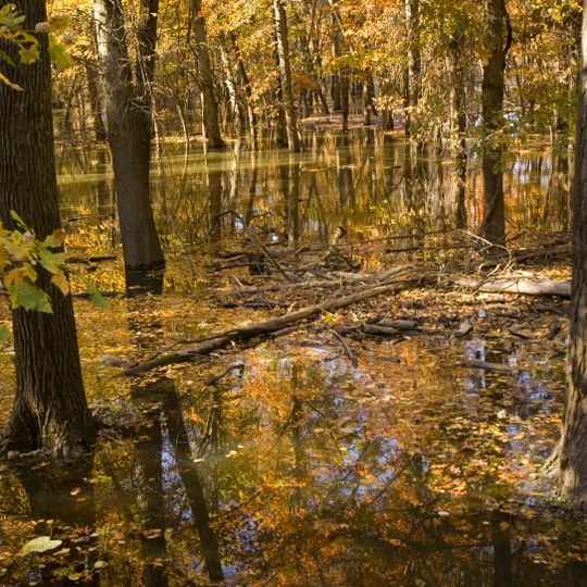 Swan Lake National Wildlife Refuge