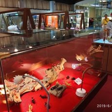 Taiwan Glass Gallery