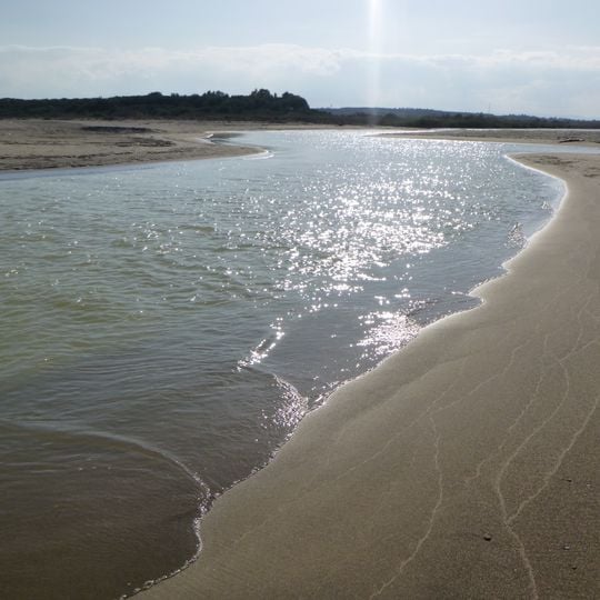 Riserva naturale Oasi del Simeto