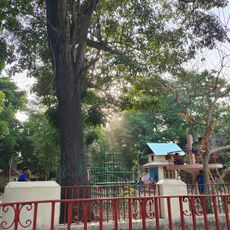 Nageshwara Rao Park