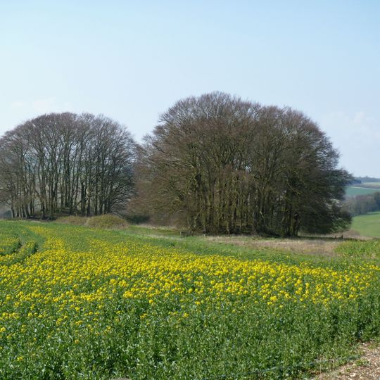 Group of six round barrows forming part of a Bronze Age cemetery 400m north-east of West Kennett Farm