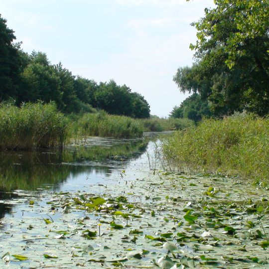 Distretto di Cherson