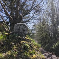 Cross 20 Metres To South East Of Trekennick Farmhouse
