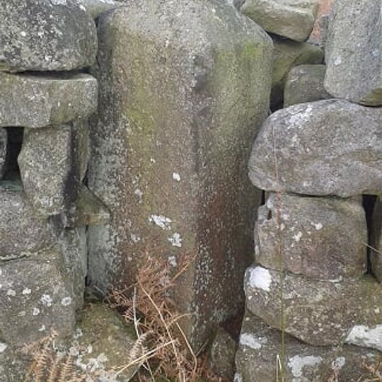 Tranmire Stone