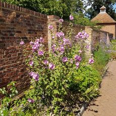 Garden Walls To East Of The Old Coach House
