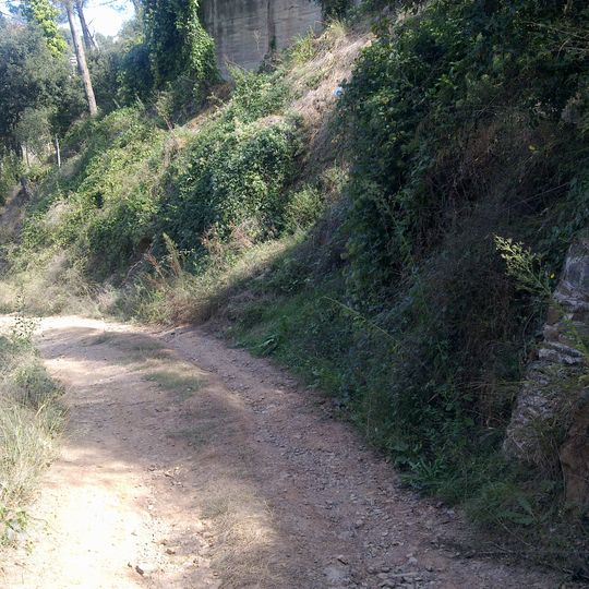 Borja del Serral d'en Roig