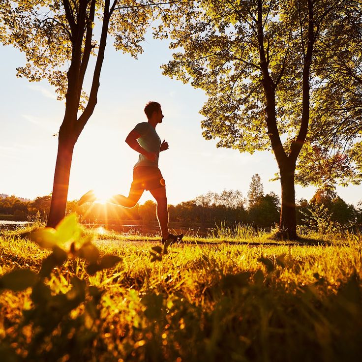 Domaine de Roquevielle