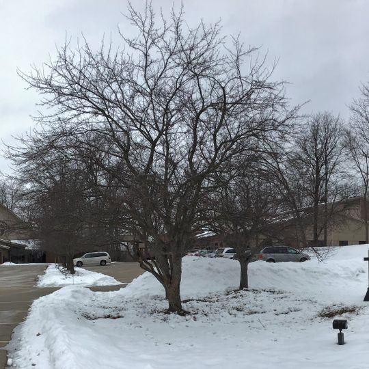 First Protestant Reformed Church in Grand Rapids, Michigan