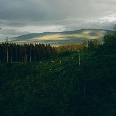 Totenåsen