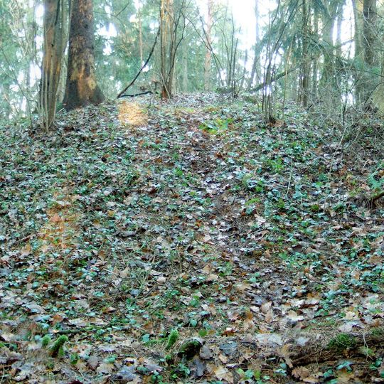 Panerių piliakalnis