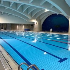 Suzanne Berlioux swimming pool