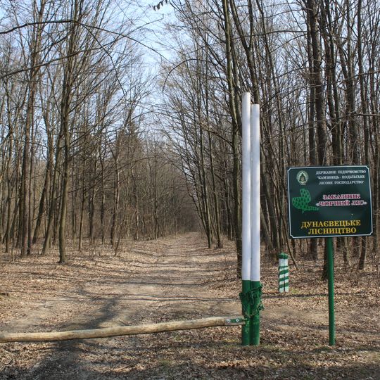Chornyi Forest, Dunaivtsi Raion