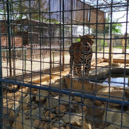 Paraguaná Zoo