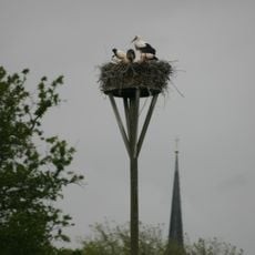 Oostergeest: ooievaarsnest