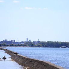 Bird Island Pier