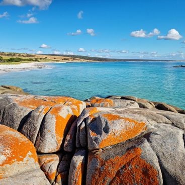 Siga o Caminho do Diabo na Tasmânia