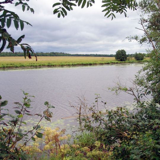 Distrito de Kingiseppsky