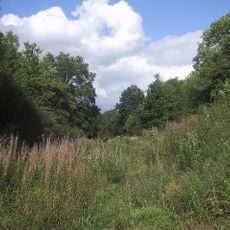Chipping Norton Limestone