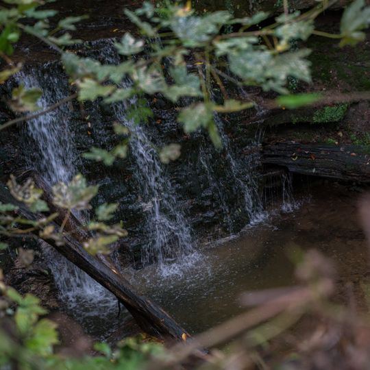 Lauf des Strümpfelbaches mit Wasserfall und Feuchtwiese