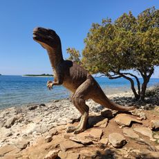 Dinosaur footprints