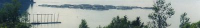 Panoramic View 0