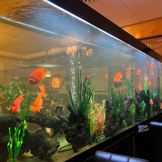 Asia Paradise Aschaffenburg