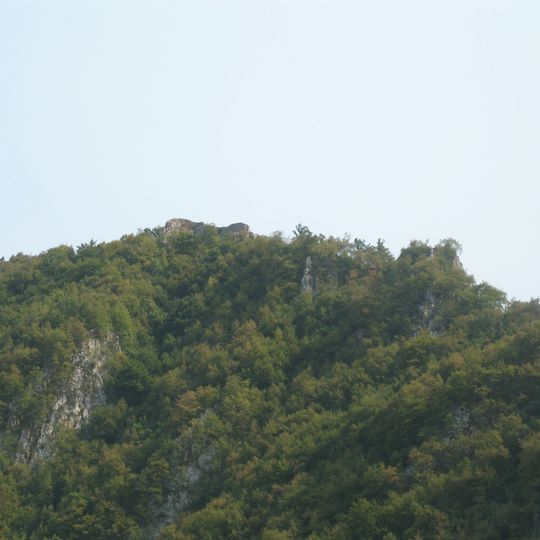 Tara