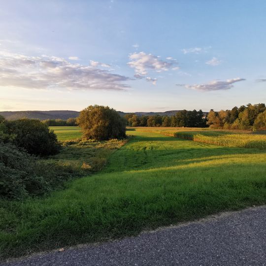 Feuchtgebiete in den Rehwiesen