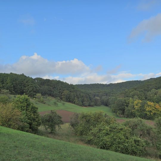 Trockenhänge und Urwiese bei Junkersdorf
