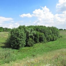 Balka Bublykova Reserve