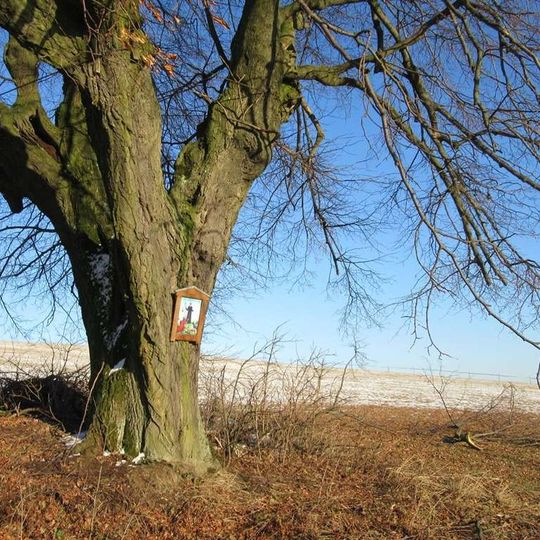Obrázek severně od Drozdova u silnice