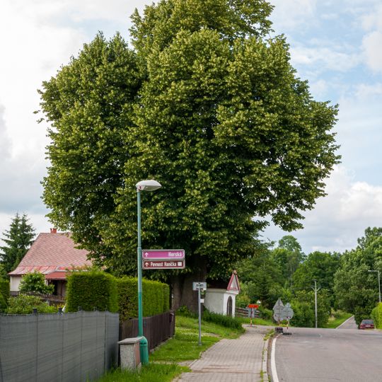Lípy u kaple sv. Antonína