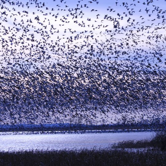 Loess Bluffs National Wildlife Refuge
