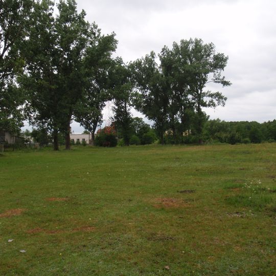 Cmentarz żydowski w Gniewoszowie