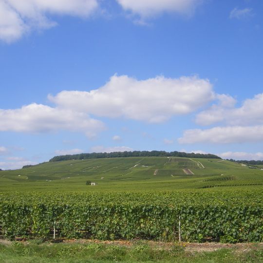 Réserve naturelle nationale des pâtis d'Oger et du Mesnil-sur-Oger
