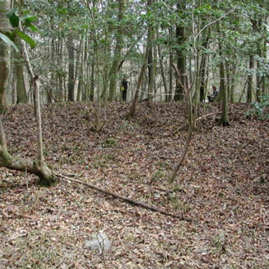 Cooner's Cattle Mound