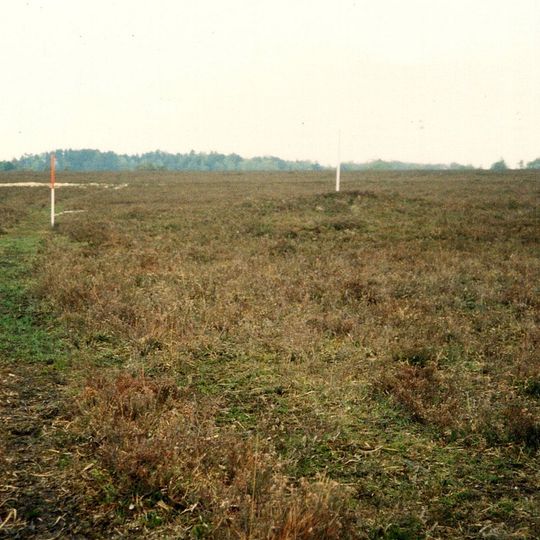 Bowl barrow 645m north of Longcross Pond forming part of Black Bush Plain round barrow cemetery