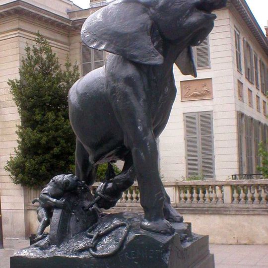 Cattura di un giovane elefante