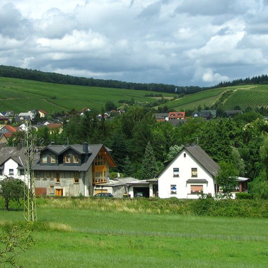 Schweppenhausen