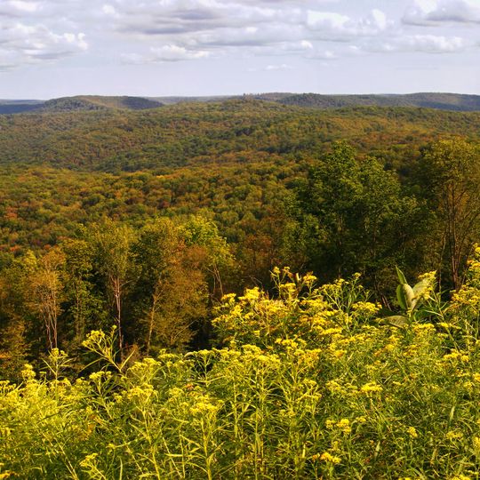 Susquehannock State Forest