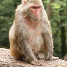 Parco nazionale di Betla