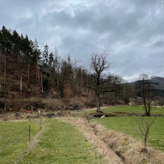 NSG Houverather Bach und Nebenbaeche